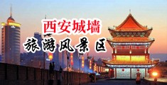 美女日逼小说中国陕西-西安城墙旅游风景区